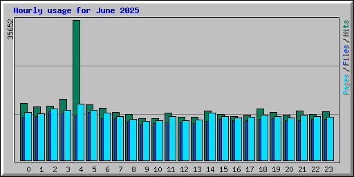 Hourly usage for June 2025