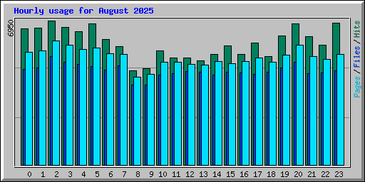 Hourly usage for August 2025