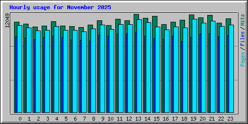Hourly usage for November 2025