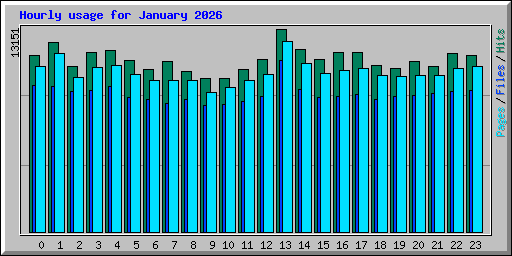 Hourly usage for January 2026