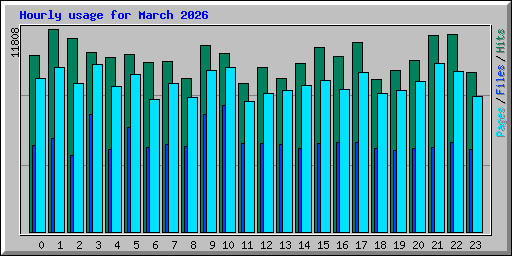 Hourly usage for March 2026